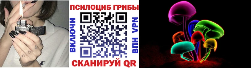 Галлюциногенные грибы Magic Shrooms  Циолковский 